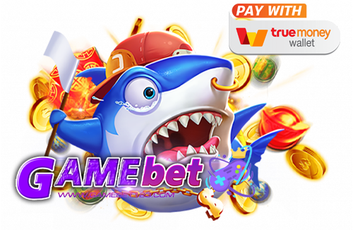 slot ฝาก ถอน ผ่าน true wallet.
